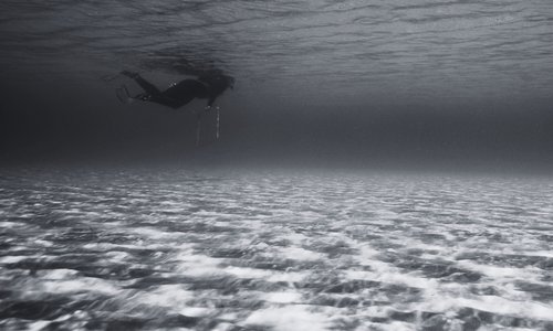 A greyscale image showing an empty ocean and a lone diver swimming near surface.