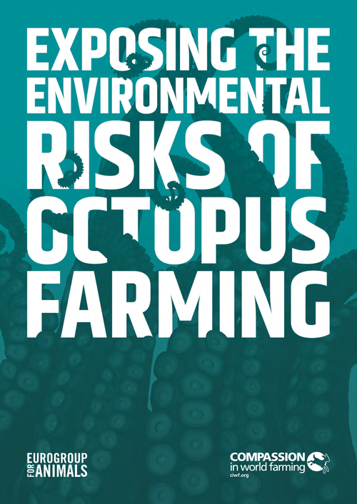 Copertina di un report con titolo in bianco "Exposing the Environmental Risks of Octopus Farming" su sfondo verde acqua con tentacoli di polpo