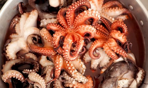 Primo piano dei tentacoli e altre parti del corpo di alcuni polpi in un secchio