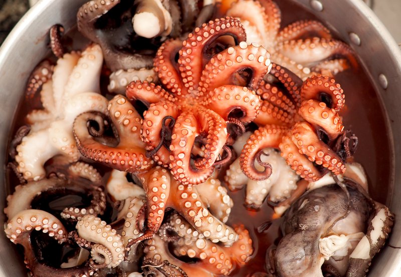 Close up of octopus tentacles and other body parts in a bucket