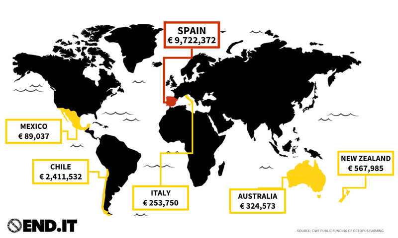 Mappa mondiale che evidenzia i paesi con i maggiori finanziamenti per l'allevamento di polpi