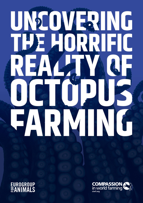 Copertina di un report con titolo in bianco "Uncovering the Horrific Reality of Octopus Farming" su sfondo blu intenso con tentacoli di polpo