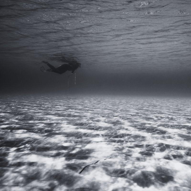 A greyscale image showing an empty ocean and a lone diver swimming near surface.