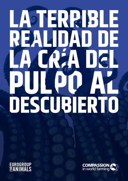 Fondo azul oscuro con tentáculos de pulpo extendiéndose y enroscándose. El texto en blanco, grande y en negrita, dice: «Desvelando la horrible realidad de la cría de pulpos».