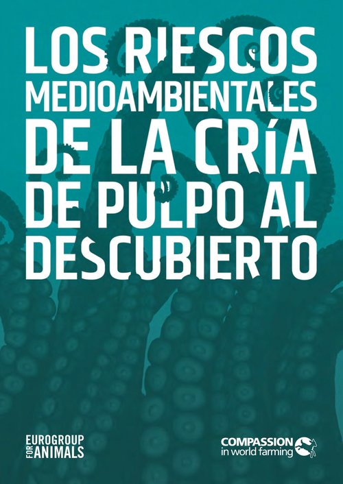 Teal-colored background with octopus tentacles curling upward. Bold white text reads 'Exposing the Environmental Risks of Octopus Farming'.